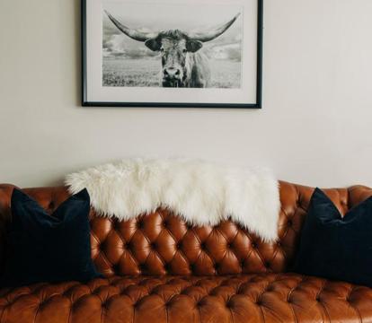 Photo of Stellar Suites