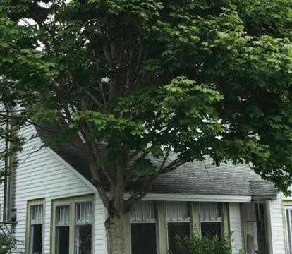 Photo of Studio 181 Bed & Breakfast