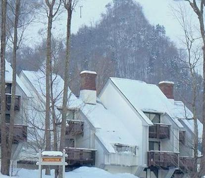 Photo of Ski In/Out Trailside Townhome