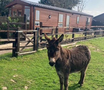 Photo of Rew Farm Country and Equestrian Accommodation - Sunset Lodge
