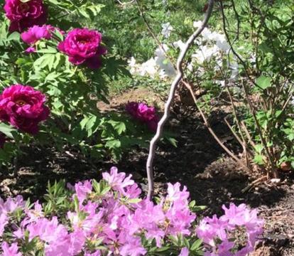 Photo of Susquehanna Manor Inn