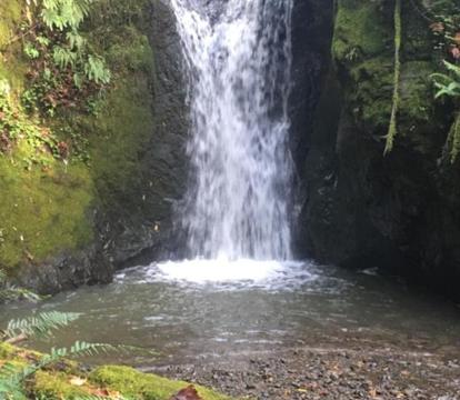 Escape to Romance: Unwind at Our Handpicked Selection of Romantic Hotels in Gold Beach (Oregon)