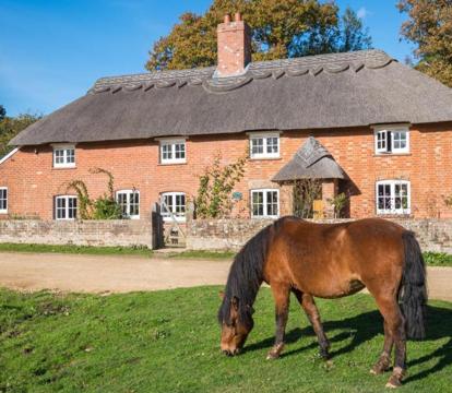 The most romantic hotels and getaways in Brockenhurst (Hampshire)
