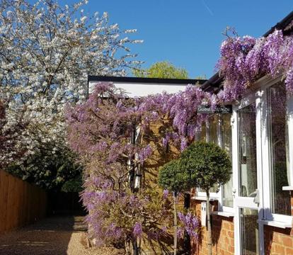 Photo of The Bakehouse Guesthouse