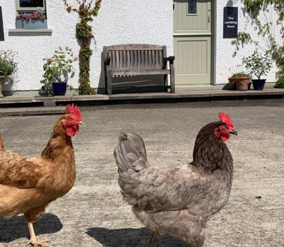 Photo of The Barley Store