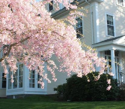 Photo of The Beech Tree B&B