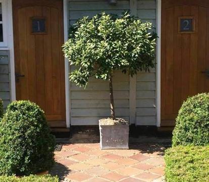 Photo of The Black Horse at Ireland