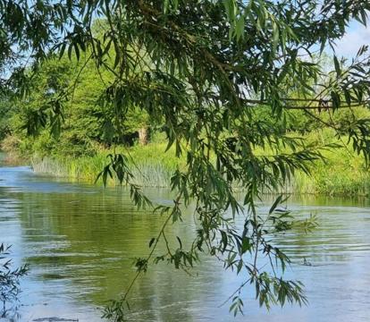 Photo of The Boathouse