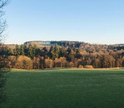 Photo of The Bothy at Ivy Cottage