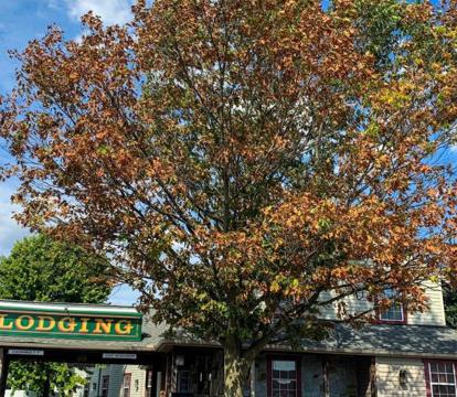 Photo of The Country Inn of Lancaster