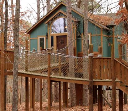Photo of The Grand Treehouse Resort
