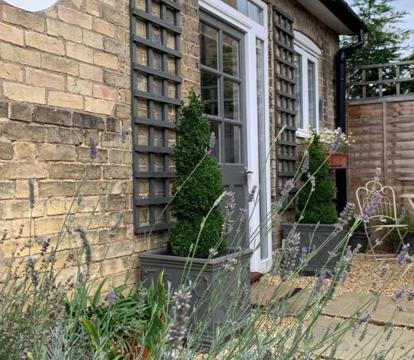 Photo of The Grapevine Studio