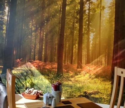 Photo of The Lakes B and B