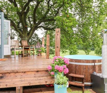 Photo of The Lazy Mare by The Water