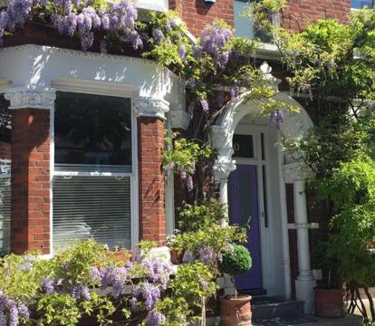 Photo of The Lilac Door