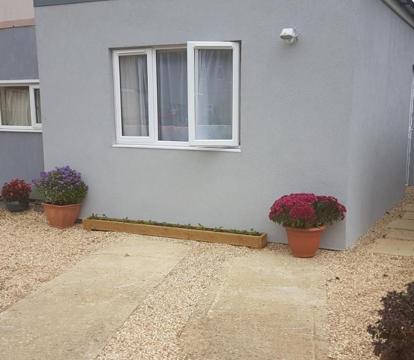 Photo of The Lily Pad