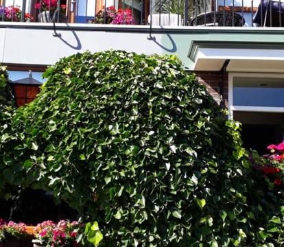 Photo of The Lonsdale