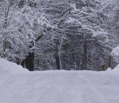 Photo of The Maples at Warner