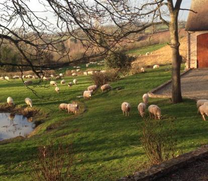 Photo of The Motor House