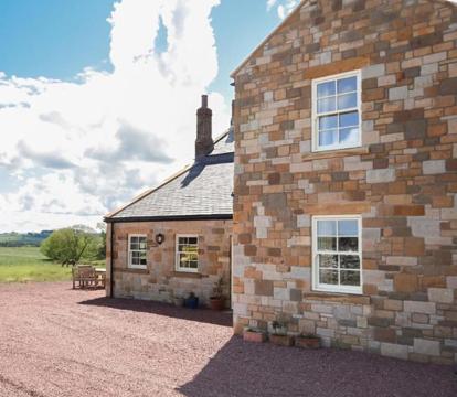 Photo of Countryside Escape - The Night Owl