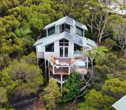 Photo of The Oasis Apartments and Treetop Houses