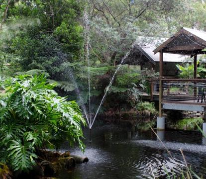 Photo of The Oasis at One Mile Beach