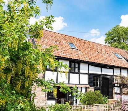 Photo of The Old Farm