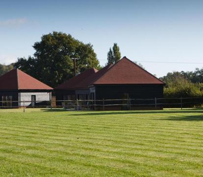 Photo of The Old Flower Field