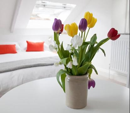 Photo of The Old Pilchard Works