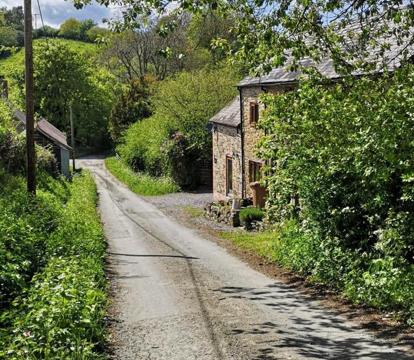 Photo of The Old Smithy Bed & Breakfast