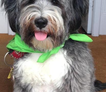 Photo of The Olive Branch