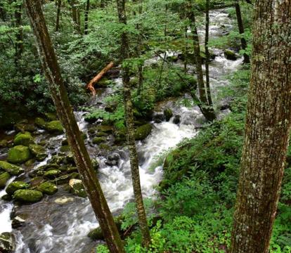 Best Adults-Only hotels in Robbinsville (North Carolina)