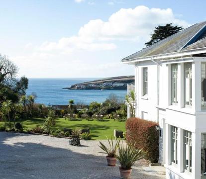 Photo of The Rosevine