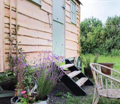 Photo of The shepherds hut