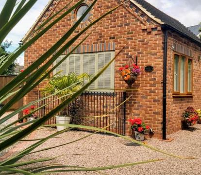 Photo of The Snicketts