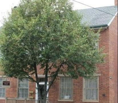 Photo of The Tillie Pierce House Inn