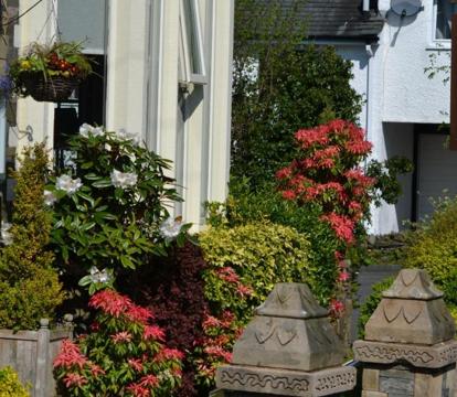 Photo of Jerichos Boutique Accommodation