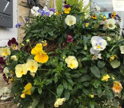 Photo of The Welford