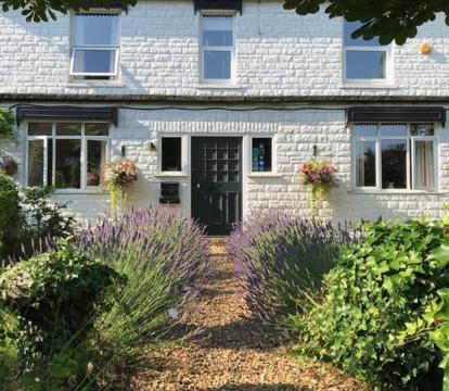 Photo of The White House