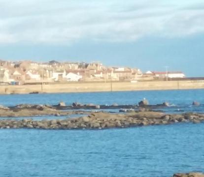 Photo of The White House