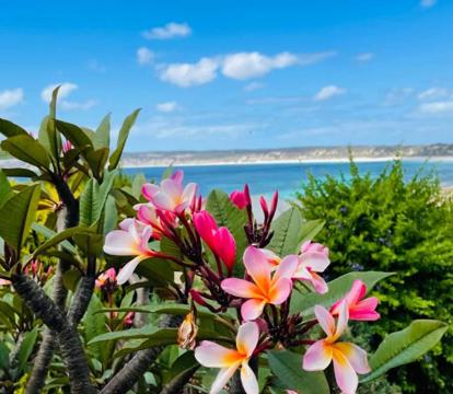 Photo of The Whitehouse