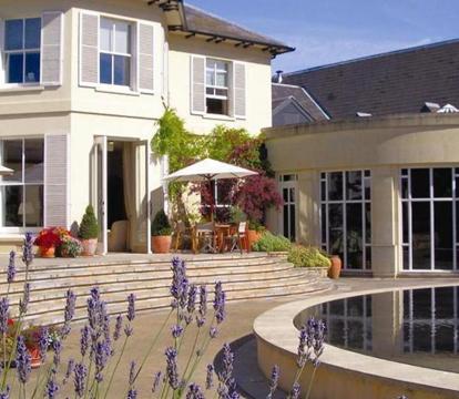 Photo of The Vineyard