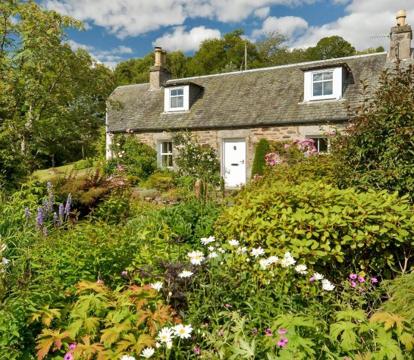 Photo of Wintergreen