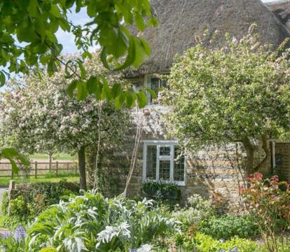 Photo of Tudor Cottage B&B Frampton