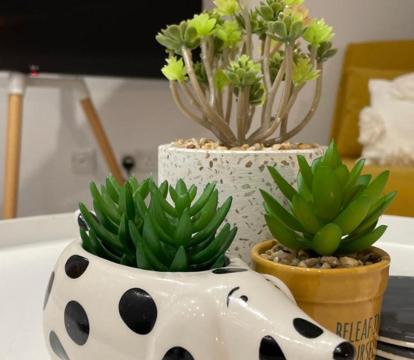 Photo of Unique luxury detached apartment in Windsor that sleeps 4