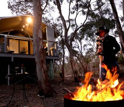 Photo of Wallabies Rest