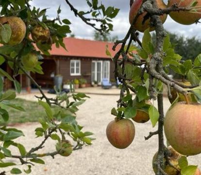 Photo of Walnut Tree Cottage Barn