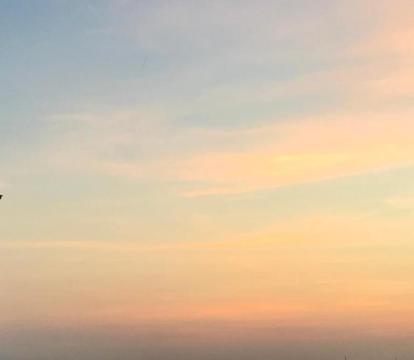 Photo of WATERFRONT DARWIN TROPICAL DELIGHT