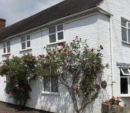 Photo of White Cottage Bed and Breakfast