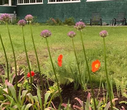 Photo of Wilderness Inn Bed and Breakfast